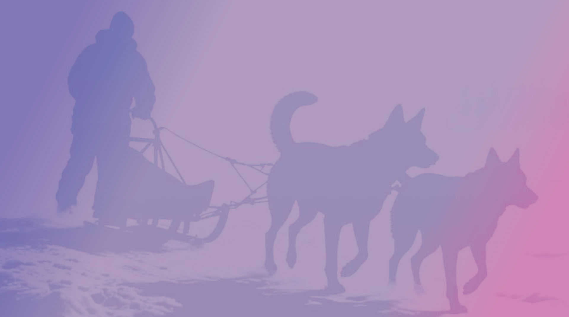 American Dog Derby Fundraiser