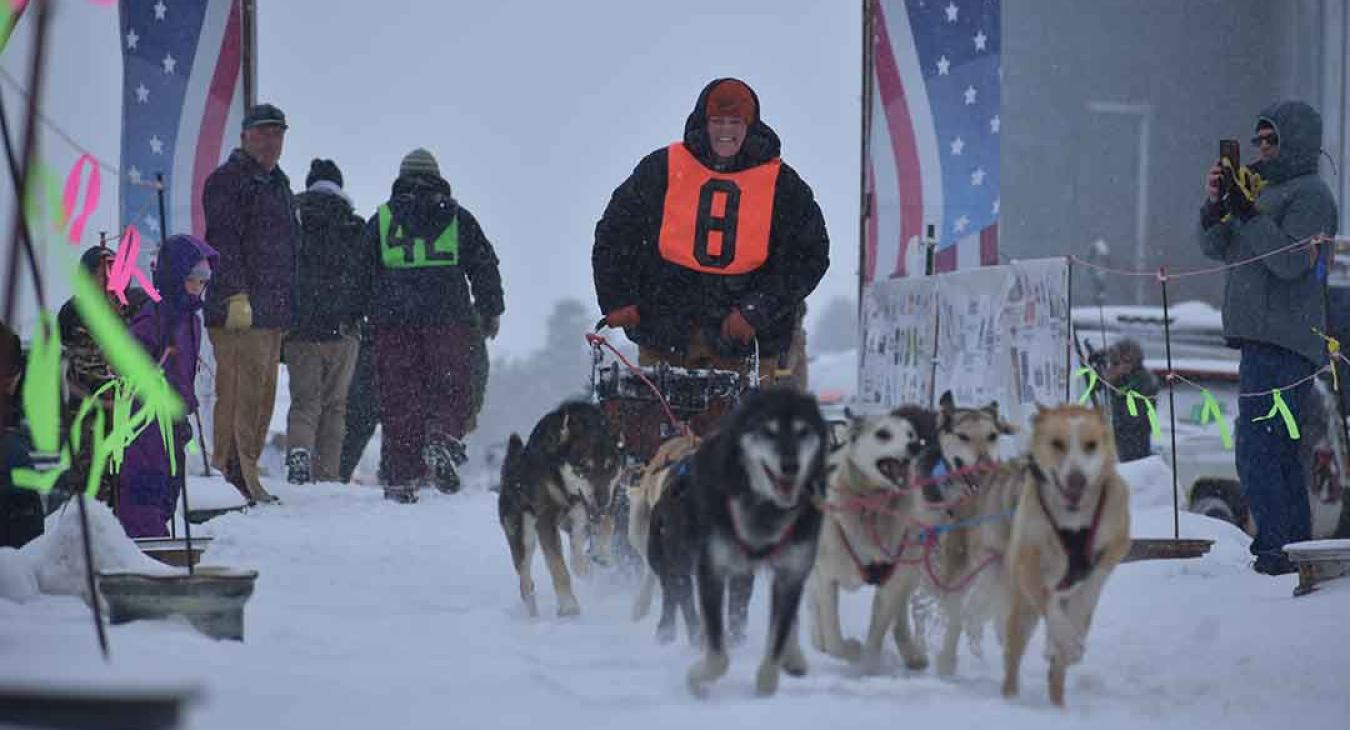 Dog Derby Start