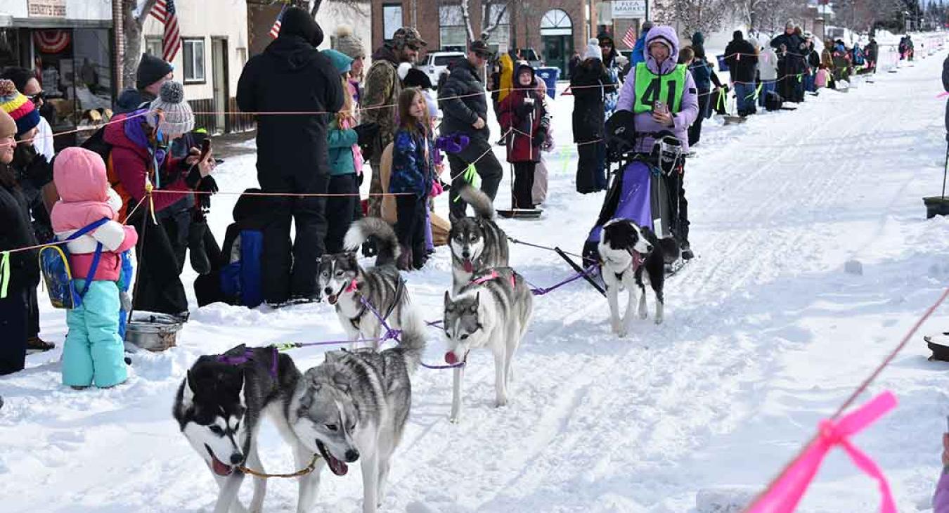 Dog Derby Finish