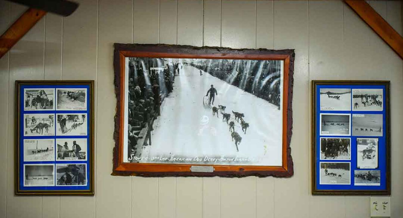 Dog Derby History