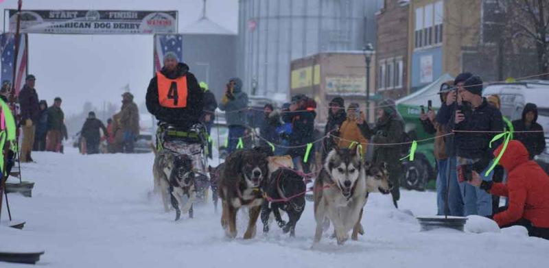 Dog Derby Weekend was a Hoot! 