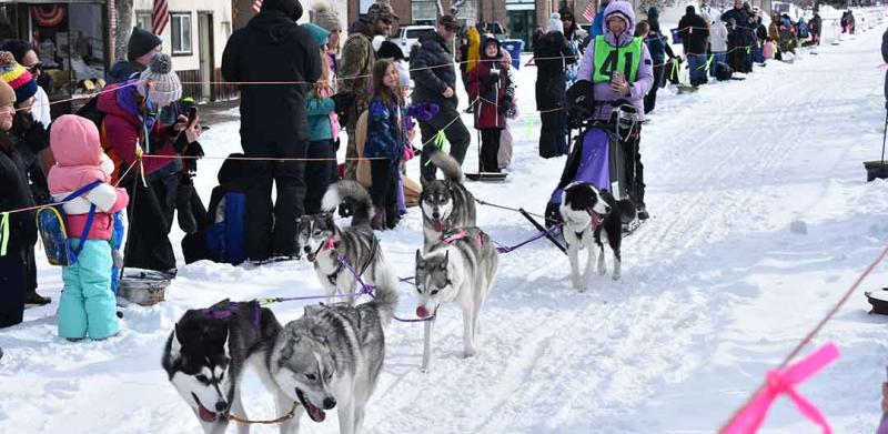 Dog Derby Weekend was a Hoot! 