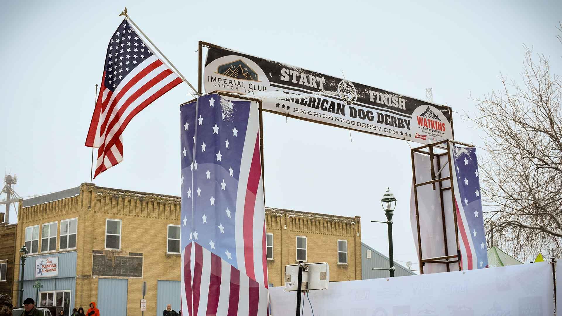 Proud Sponsors of the American Dog Derby